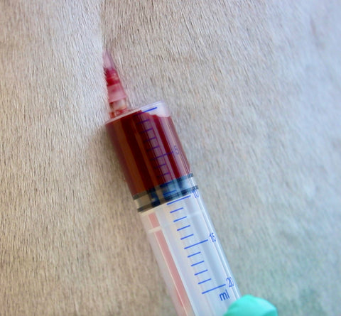 Prescription(s) Members Only