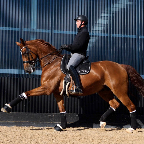 Medication(s) + Supplement(s)