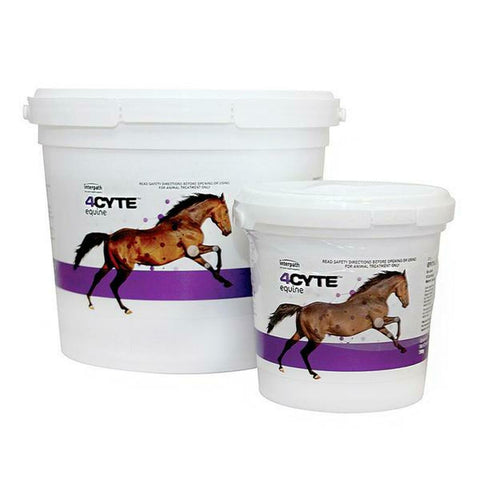 4CYTE Equine Granules 3.5kg