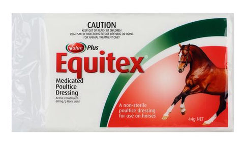 Equitex Poutlice