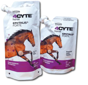 4CYTE Epiitalis Forte Gel 250ml