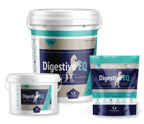 Digestive EQ 4kg Sachet